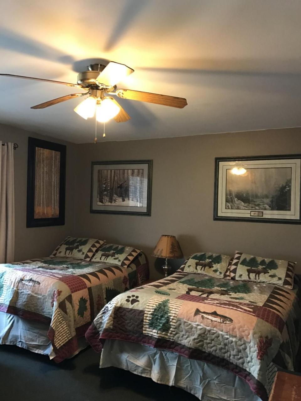 Muskie Bay Resort Nestor Falls エクステリア 写真